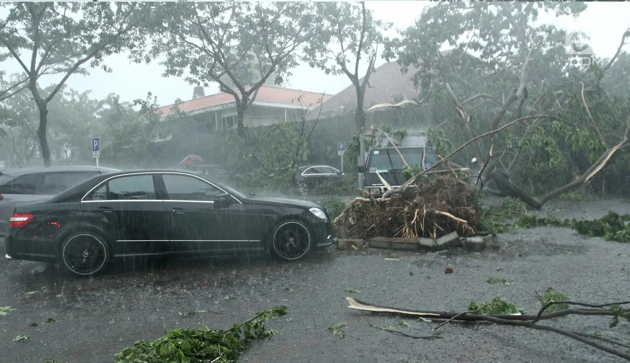 Kendaraan terparkir dekat pohon yang tumbang di parkiran Metropole XXI, Cikini, Jakarta Pusat, Minggu (31/12). Hujan angin melanda Jakarta jelang malam pergantian tahun hingga membuat beberapa pohon bertumbangan. (Liputan6.com/Herman Zakharia)