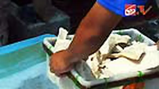 Awas! Ikan Asin Berpemutih