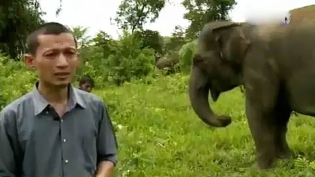 VIDEO: Rudi Putra, Penyelamat Ekosistem di Gunung Leuser