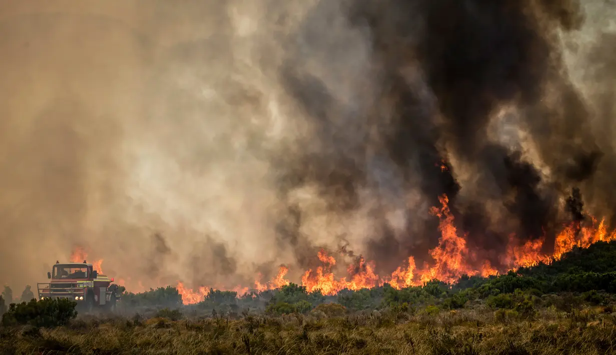 Kebakaran melanda kawasan Somerset West dekat Cape Town, Afrika Selatan, Rabu (4/1). Kebakaran tersebut telah menghancurkan sebagian wilayah perkebunan tertua di Afsel. (AP Photo / Stefan Smuts)