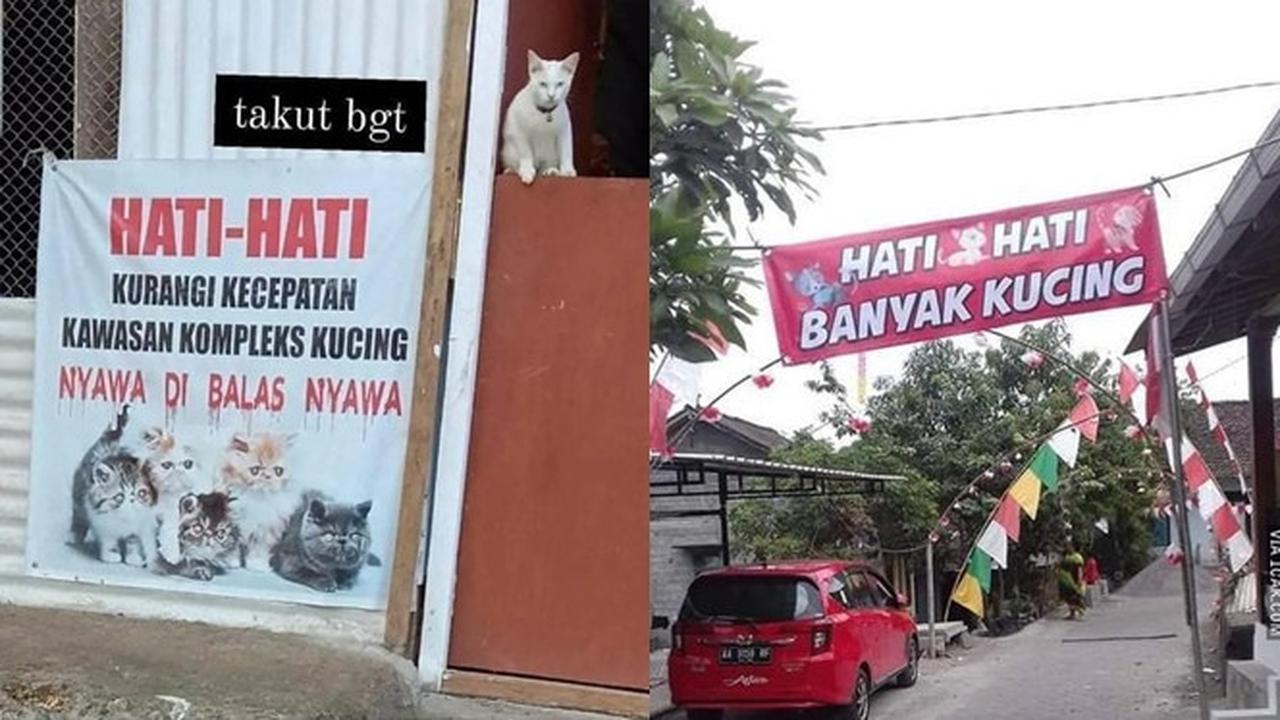 6 Imbauan Libatkan Kucing Ini Nyeleneh Banget, Bikin Heran