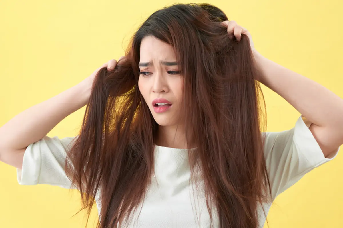 Rambut Kering