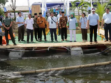 Suasana penebaran benih ikan dan panen ikan bandeng yang digelar Perum Jasa Tirta II di demplot Curug, Jatiluhur, Kamis (6/12). Penebaran benih ikan tersebut merupakan uji coba program perikanan tangkap berbasis budidaya. (Liputan6.com/Pool/HumasPJT2)