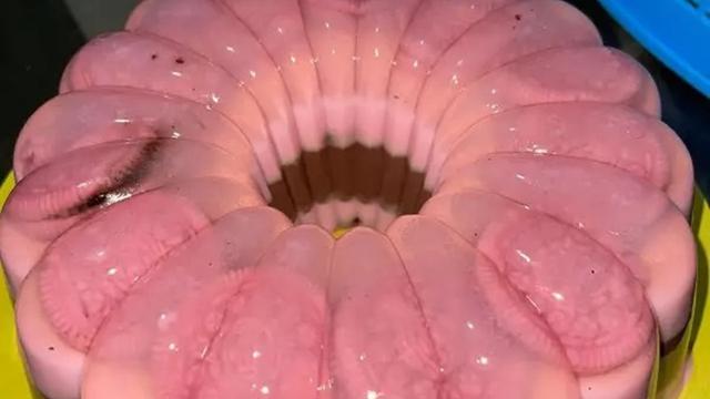 Resep puding oreo BLACKPINK. (dok. Cookpad @andianna)