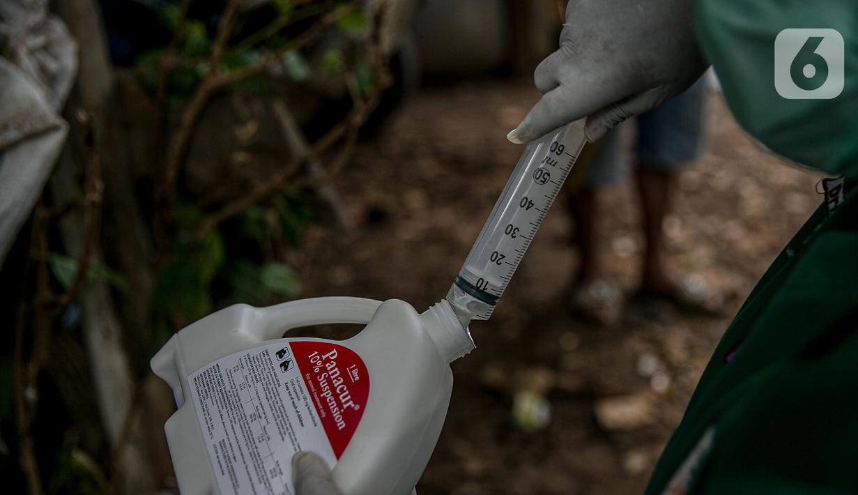 Dokter hewan Dinas KPKP menyiapkan suntikan untuk kuda delman di Jakarta, Kamis (4/2/2021). Kegiatan dilakukan untuk memberi bantuan pakan dan pemeriksaan kesehatan serta pengambilan sampel. (Liputan6.com/Faizal Fanani)