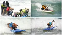 Lomba Selancar Ala Anjing