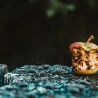 Ilustrasi/Copyright unsplash/Maria Teneva