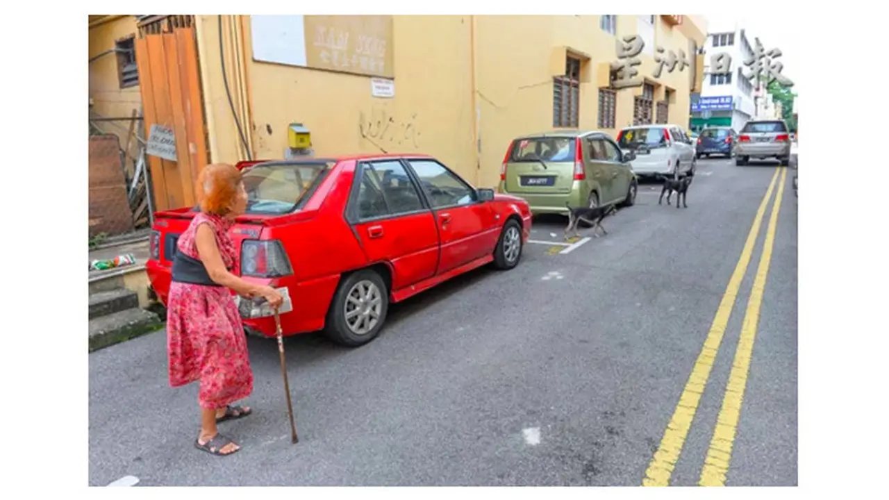 Nenek beri makan hewan liar