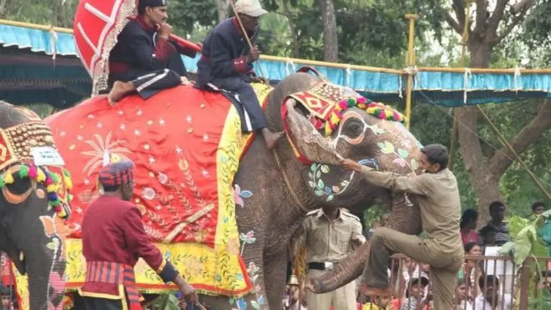 India Berduka Atas Kematian Indira Gajah Tertua di Dunia