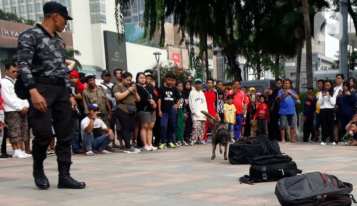 Satuan Polisi Satwa K9 bersama anjing pelacak khusus melakukan simulasi pendeteksian bahan peledak di area Car Free Day,Bundaran HI, Jakarta, Minggu, (16/2/2020). Simulasi untuk mengedukasi tentang cara kerja anjing pelacak saat menemukan bahan peledak yang disembunyikan. (Liputan6.com/Johan Tallo)