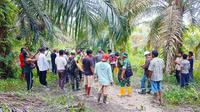 Pemasangan kandang jebakan untuk menangkap harimau sumatra di Kabupaten Bengkalis. (Liputan6.com/Dok BBKSDA Riau)