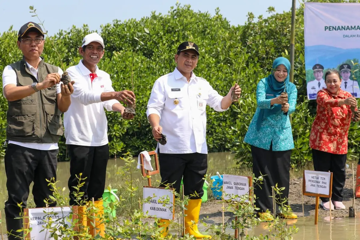Cegah Abrasi dan Rob, Gubernur Taj Yasin Tanam 1.000 Mangrove di Sayung Demak