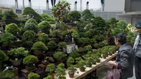 Pengunjung melihat bonsai yang ditampilkan saat Konvensi Bonsai Dunia ke-8 di Saitama, Tokyo, Jepang, Sabtu (29/4). Konvensi yang diadakan setiap empat tahun ini, telah diselenggarakan di AS, Korea, China dan Eropa. (AFP PHOTO / Kazuhiro NOGI)