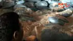 liputan6
