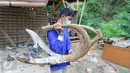 Pekerja tengah mengangkat rangka sepeda dari bahan baku bambu di Akademi Bambu Nusantara (ABN) di BSD, Tangerang Selatan, Selasa (06/9). ABN telah memproduksi sepeda bambu sejak tahun 2013. (Liputan6.com/Angga Yuniar)
