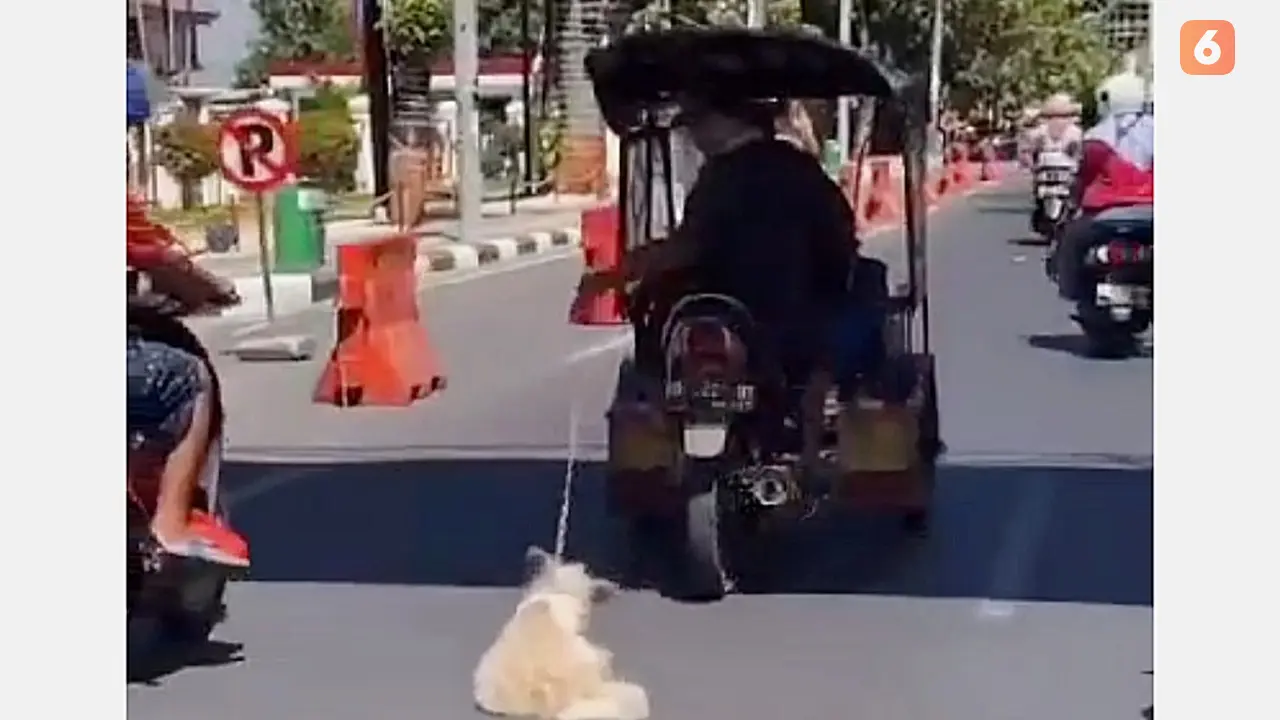 Anjing peliharaan diseret pengemudi bentor (Istimewa)