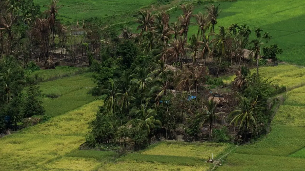Tutupi Barang Bukti, Myanmar Diduga Buldozer Kuburan Massal Rohingya