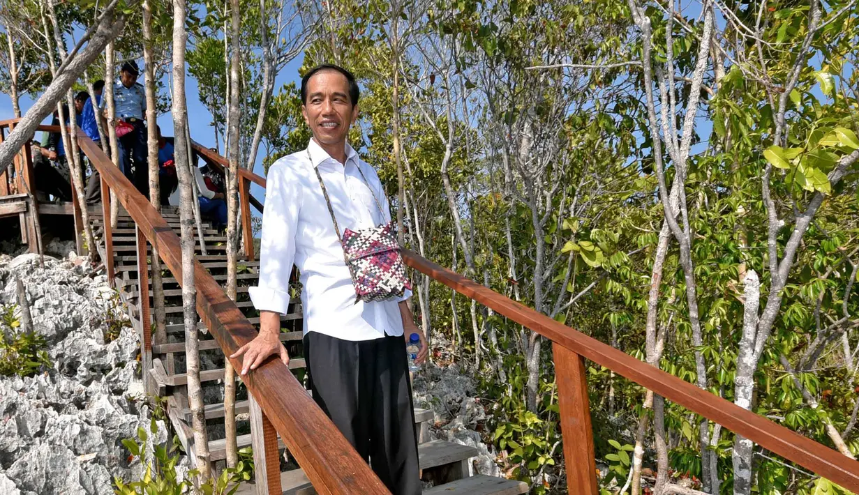 Presiden Joko Widodo saat berada di kawasan wisata Raja Ampat dalam rangkaian kunjungannya ke Papua Barat, Jumat (1/1/2016). Jokowi berada di Raja Ampat dalam rangka menyambut pergantian tahun 2015 menuju ke tahun 2016. (Setpres-Agus Suparto)