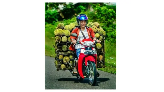 Foto editan artis lucu