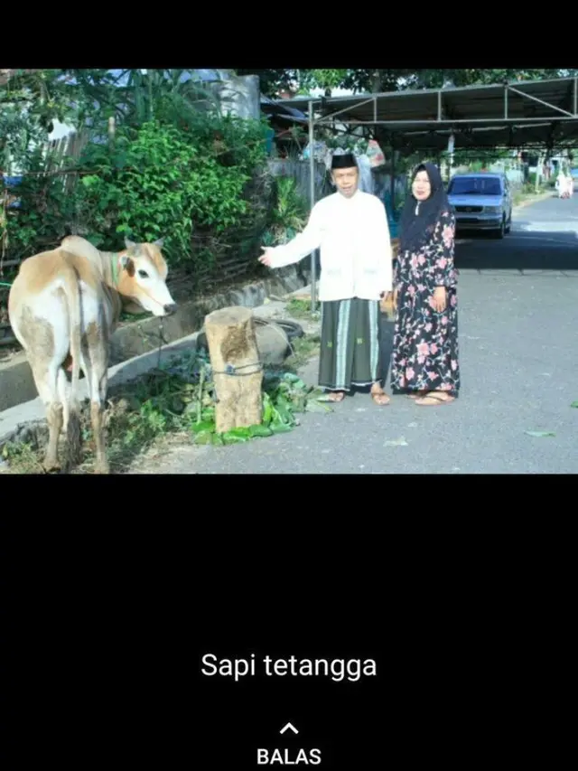 6 Status WhatsApp Bapak-Bapak, Garing tapi Kocak