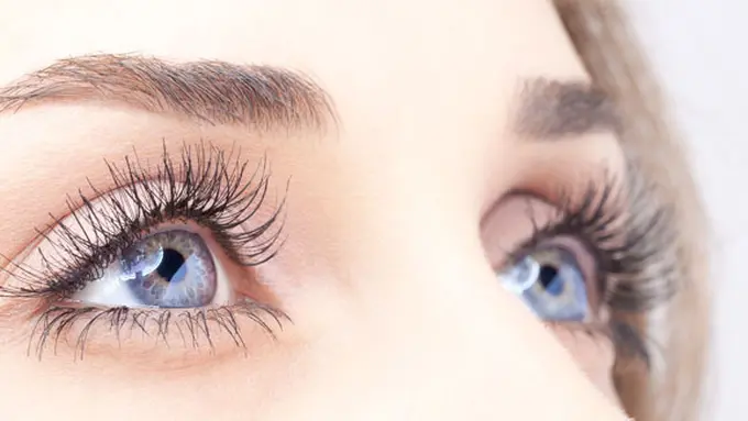 Foto: copyright Shutterstock.com