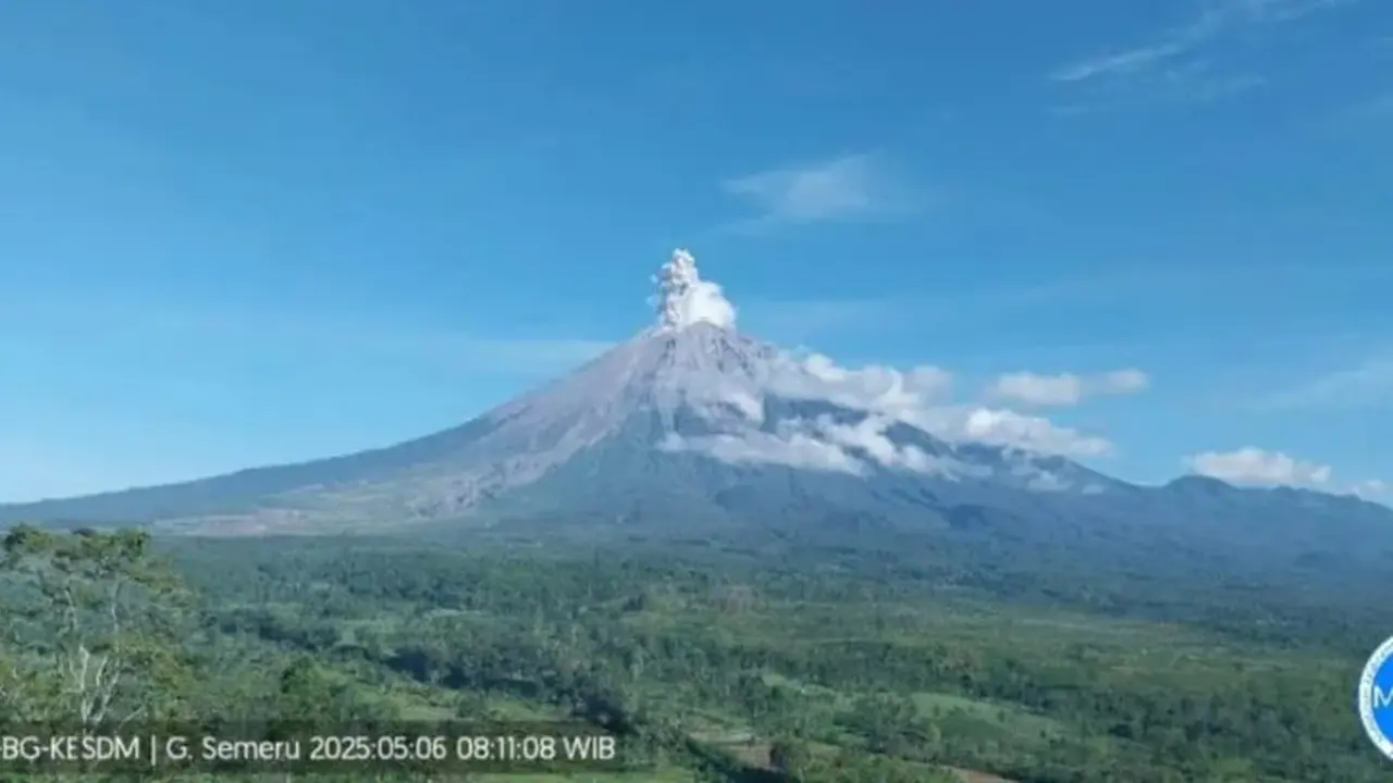 Gunung Semeru erupsi 3 kali, dengan tinggi letusan capai 700 meter. (Istimewa)
