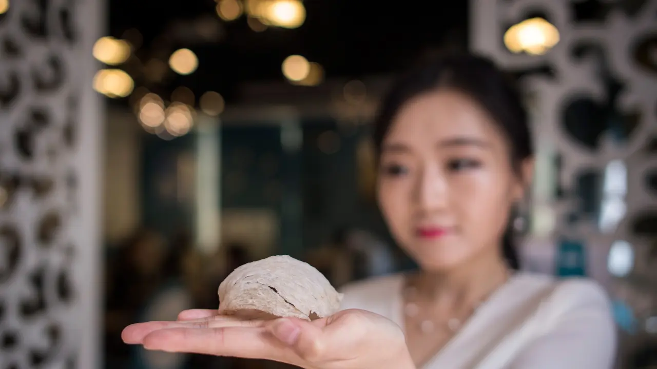 Bisnis Sarang Walet Terus Menggeliat