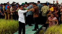 Jokowi Akan Blusukan ke Kampung Nelayan di Bengkulu