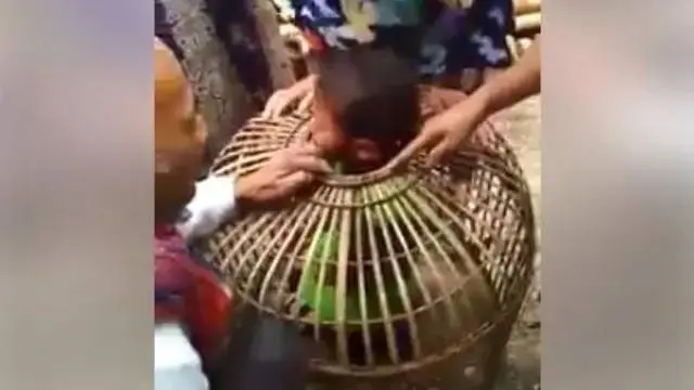 10 Potret Absurd Bocah Tersangkut di Tempat Tak Terduga Ini Kocak
