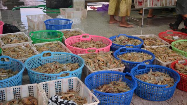 Udang hasil tangkapan nelayan, di Tempat Pelelangan Ikan (TPI) Pelabuhan Perikanan Samudera Cilacap (PPSC). (Foto: Liputan6.com/Muhamad Ridlo)