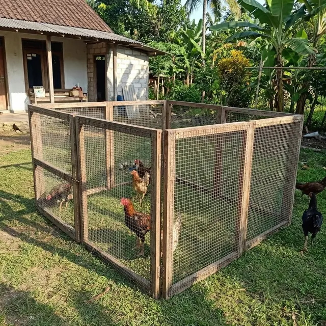 Kandang kawat Umbaran Lipat