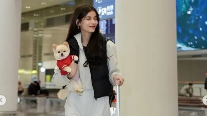 Sabrina Chairunnisa Ungkap Cara Bisa Bawa Anjingnya Naik Pesawat ke Korea. foto: (dok.Instagram @sabrinachairunnisa_/https://www.instagram.com/p/DF8_DldBL89/Henry)