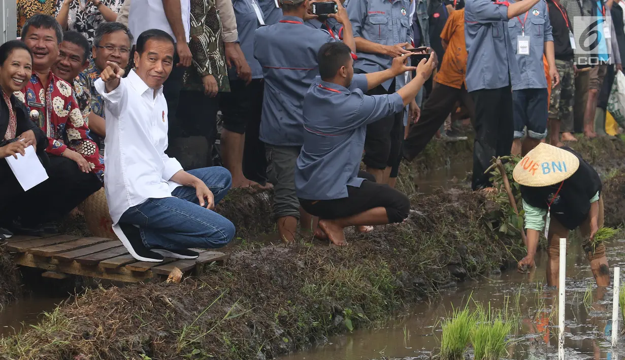 Presiden Joko Widodo didampingi Menteri BUMN Rini Soemarno saat blusukan ke area persawahan untuk meninjau Gerakan Mengawal Musim Tanam Okmar 2018/2019 di Desa Leuwigoong, Garut, Jawa Barat, Sabtu (19/1). (Liputan6.com/Angga Yuniar)