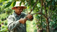 Tujuan Mencangkok: Panduan Lengkap Teknik Perbanyakan Tanaman