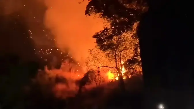Kebakaran Gunung Bulu Saukang, 68 Pendaki Sempat Terjebak