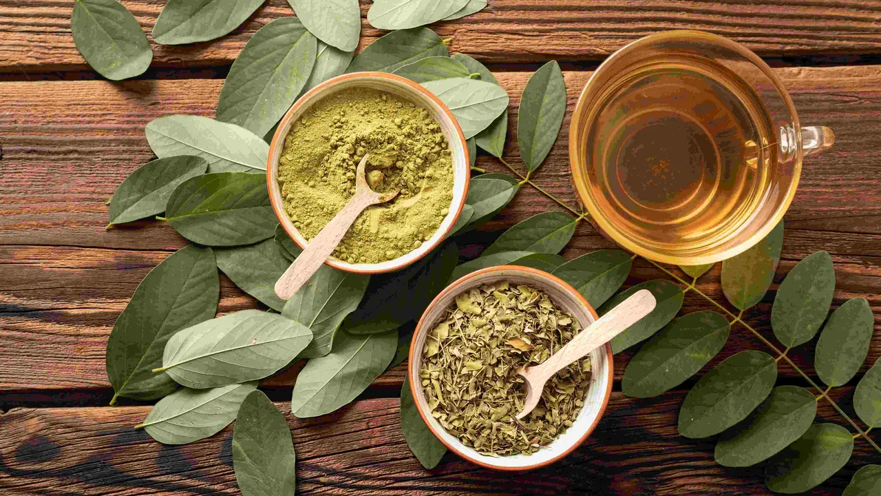 Manfaat Daun Kelor