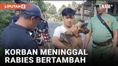 Korban Meninggal Akibat Rabies di Bali Bertambah