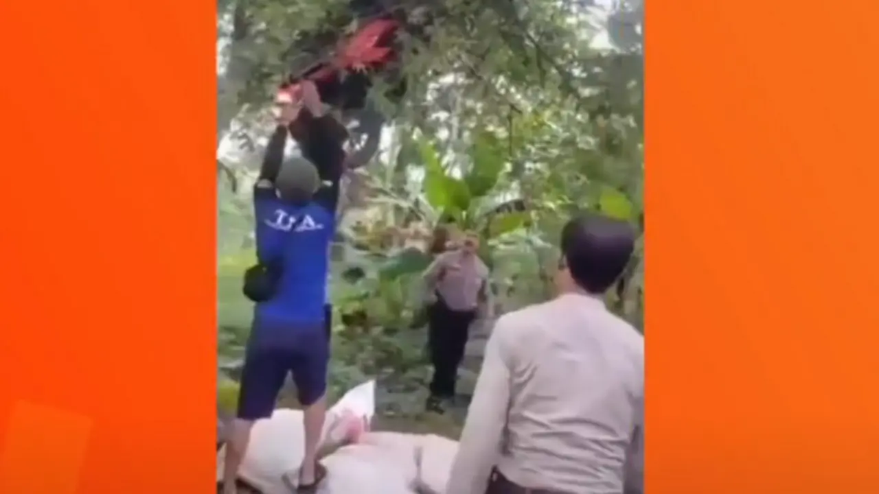 Motor Tersangkut di Pohon