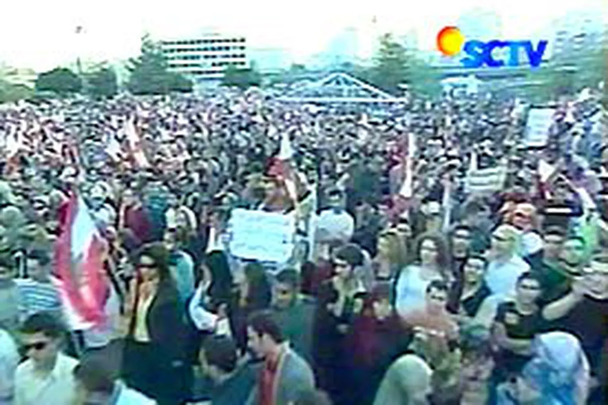 011206dlndemo.jpg