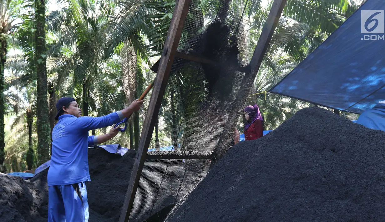 Pekerja dari kelompok tani mekar jaya binaan PT Wirakarya Sakti unit forestry APP Sinarmas menyelesaikan pembuatan pupuk kompos di Kab Tanjung Jabnung Barat, Provinsi Jambi, Kamis (3/5). (Liputan6.com/Angga Yuniar)