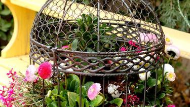 8 Ide Cantik Daur Ulang Sangkar Burung Untuk Hiasan Taman Fashion Fimela Com