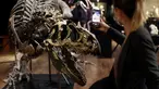 Pengunjung memotret kerangka dinosaurus Allosaurus di rumah lelang Drouot, Paris, Prancis, Sabtu (10/10/2020). Kerangka dinosaurus yang ditemukan di daerah Johnson, Wyoming, AS, tersebut akan dilelang pada 13 Oktober 2020 dan diperkirakan harganya antara 1-1,2 juta euro. (AP Photo/Thibault Camus)