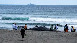 Paus-paus yang terdampar tersebut dilaporkan tidak dapat kembali meskipun terjadi pasang air laut. (Philip FONG/AFP)
