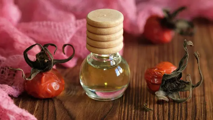 Ilustrasi minyak herbal untuk kesehatan (Tatiana.kochkina/Shutterstock)