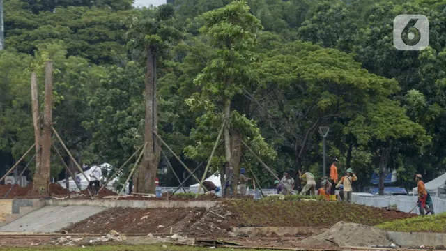 Sempat Ditebang, Pohon-Pohon di Monas Kembali Ditanam