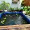 Cara Membuat Kolam Mini dengan Terpal di Halaman Rumah, Percantik Hunian