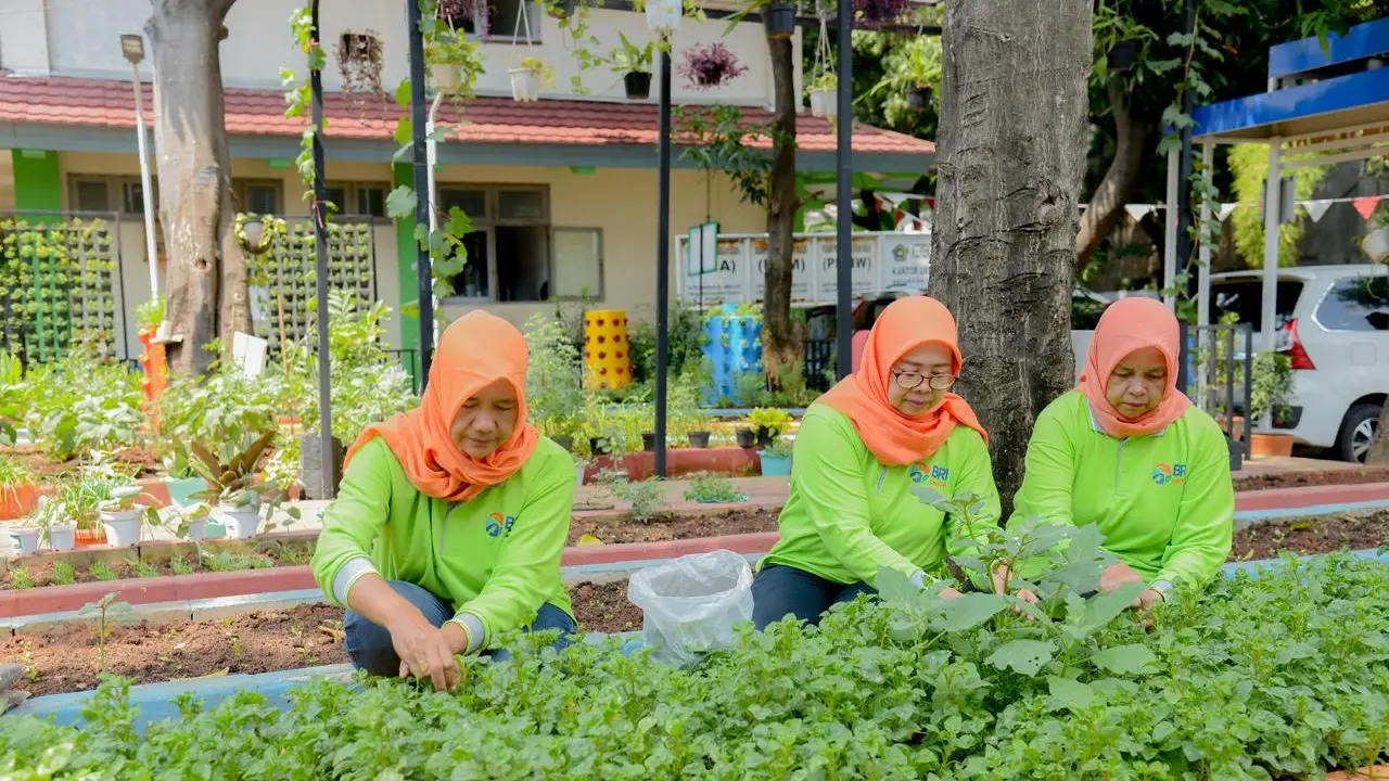 Poktan Dahlia RW 07 Cempaka Putih Barat Sulap Lahan Terbengkalai Jadi Lebih Indah dan Produktif