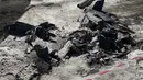 Belum ada laporan resmi mengenai korban jiwa. Tampak sebuah foto yang menunjukkan puing-puing drone di dekat bangunan tempat tinggal yang rusak akibat serangan drone Rusia di Zaporizhzhia pada 2 Januari 2026, di tengah invasi Rusia ke Ukraina. (Darya NAZAROVA/AFP)