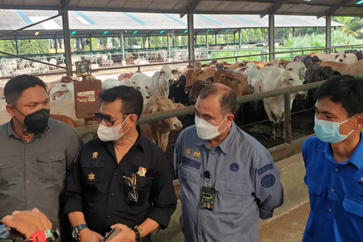 Mentan SYL Pastikan Stock Sapi Siap Potong di Sumut dan Aceh Aman