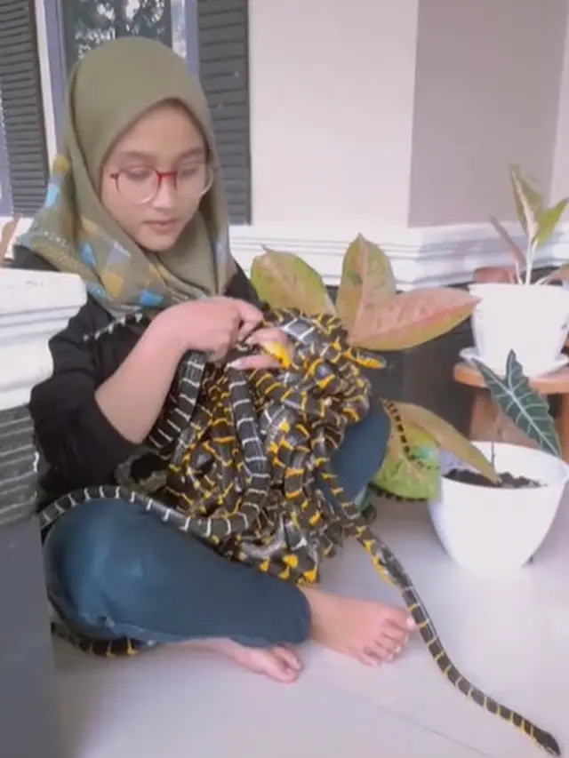 Viral Gadis Pelihara Puluhan Ular Sekaligus, Bikin Warganet Bergidik
